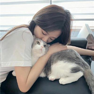 黄面老虎